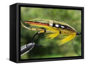 Traditional Salmon Fishing Fly, UK-John Warburton-lee-Framed Stretched Canvas