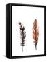 Traditional Sketched Feathers-OnRei-Framed Stretched Canvas