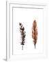 Traditional Sketched Feathers-OnRei-Framed Art Print