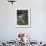 Traditional Small Bhutanese House with Smoke Coming from Roof from Open Fire Inside, Near Trongsa, -Lee Frost-Framed Photographic Print displayed on a wall