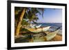 Traditional Sri Lanka Fishing Boats on Mirissa Beach, South Coast, Sri Lanka, Asia-Matthew Williams-Ellis-Framed Photographic Print