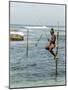 Traditional Stilt Fisherman, Koggala, Near Weligama, South Coast of Sri Lanka, Asia-null-Mounted Photographic Print