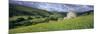 Traditional stone barn and buttercup meadow in Swaledale with stormy sky-Stuart Black-Mounted Photographic Print