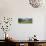 Traditional stone barn and buttercup meadow in Swaledale with stormy sky-Stuart Black-Photographic Print displayed on a wall