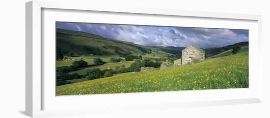 Traditional stone barn and buttercup meadow in Swaledale with stormy sky-Stuart Black-Framed Photographic Print