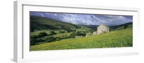 Traditional stone barn and buttercup meadow in Swaledale with stormy sky-Stuart Black-Framed Photographic Print