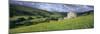 Traditional stone barn and buttercup meadow in Swaledale with stormy sky-Stuart Black-Mounted Photographic Print