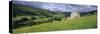 Traditional stone barn and buttercup meadow in Swaledale with stormy sky-Stuart Black-Stretched Canvas