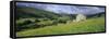 Traditional stone barn and buttercup meadow in Swaledale with stormy sky-Stuart Black-Framed Stretched Canvas