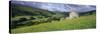 Traditional stone barn and buttercup meadow in Swaledale with stormy sky-Stuart Black-Stretched Canvas