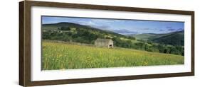 Traditional stone barn in yellow buttercup meadow in Swaledale, Gunnerside-Stuart Black-Framed Photographic Print