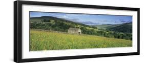 Traditional stone barn in yellow buttercup meadow in Swaledale, Gunnerside-Stuart Black-Framed Photographic Print