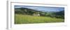 Traditional stone barn in yellow buttercup meadow in Swaledale, Gunnerside-Stuart Black-Framed Photographic Print