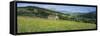 Traditional stone barn in yellow buttercup meadow in Swaledale, Gunnerside-Stuart Black-Framed Stretched Canvas