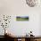 Traditional stone barn in yellow buttercup meadow in Swaledale, Gunnerside-Stuart Black-Stretched Canvas displayed on a wall