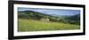 Traditional stone barn in yellow buttercup meadow in Swaledale, Gunnerside-Stuart Black-Framed Photographic Print