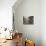 Traditional Stone Candle Stands with Floating Torii Beyond, Itsuku Shima Jinja, Honshu, Japan-Simanor Eitan-Photographic Print displayed on a wall