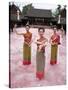 Traditional Thai Dancers, Old Chiang Mai Cultural Centre, Chiang Mai, Thailand, Southeast Asia-Gavin Hellier-Stretched Canvas