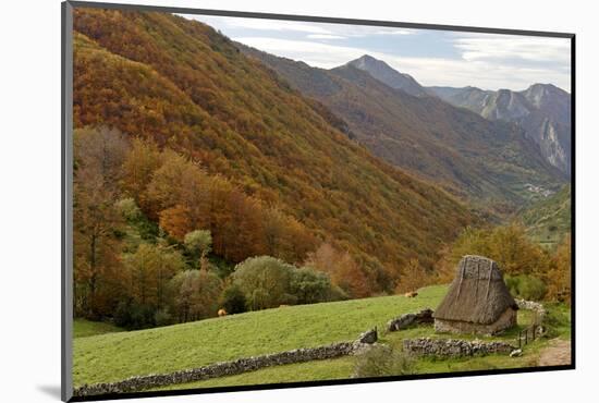 Traditional Thatched Hut, Brana De Fuexu, Valle Del Lago, Somiedo Np. Asturias, Spain-Juan Manuel Borrero-Mounted Photographic Print