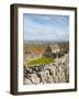 Traditional Thatched Roof Cottage, Inisheer, Aran Islands, Co, Galway, Ireland-Doug Pearson-Framed Photographic Print