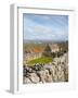 Traditional Thatched Roof Cottage, Inisheer, Aran Islands, Co, Galway, Ireland-Doug Pearson-Framed Photographic Print