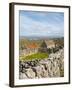 Traditional Thatched Roof Cottage, Inisheer, Aran Islands, Co, Galway, Ireland-Doug Pearson-Framed Photographic Print