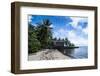 Traditional Thatched Roof Hut, Yap Island, Micronesia-Michael Runkel-Framed Premium Photographic Print