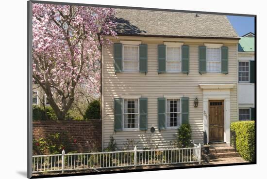 Traditional Timber House in Alexandria Old Town, Virginia, United States of America, North America-John Woodworth-Mounted Photographic Print