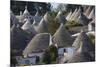 Traditional Trullos (Trulli) in Alberobello, UNESCO World Heritage Site, Puglia, Italy, Europe-Martin-Mounted Photographic Print