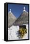 Traditional Trullos (Trulli) in Alberobello, UNESCO World Heritage Site, Puglia, Italy, Europe-Martin-Framed Stretched Canvas