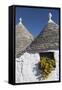 Traditional Trullos (Trulli) in Alberobello, UNESCO World Heritage Site, Puglia, Italy, Europe-Martin-Framed Stretched Canvas