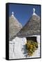 Traditional Trullos (Trulli) in Alberobello, UNESCO World Heritage Site, Puglia, Italy, Europe-Martin-Framed Stretched Canvas