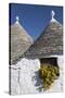 Traditional Trullos (Trulli) in Alberobello, UNESCO World Heritage Site, Puglia, Italy, Europe-Martin-Stretched Canvas