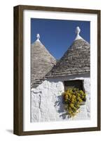 Traditional Trullos (Trulli) in Alberobello, UNESCO World Heritage Site, Puglia, Italy, Europe-Martin-Framed Photographic Print