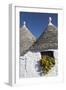 Traditional Trullos (Trulli) in Alberobello, UNESCO World Heritage Site, Puglia, Italy, Europe-Martin-Framed Photographic Print