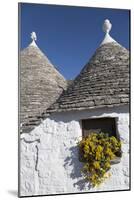 Traditional Trullos (Trulli) in Alberobello, UNESCO World Heritage Site, Puglia, Italy, Europe-Martin-Mounted Photographic Print