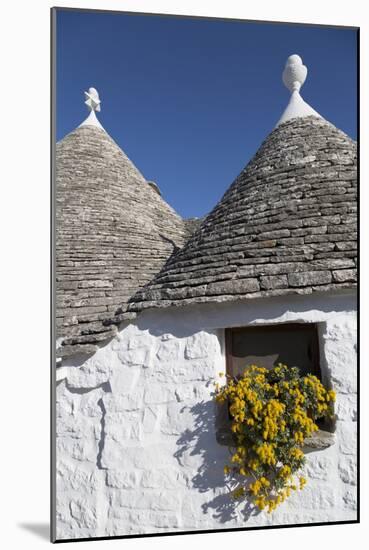 Traditional Trullos (Trulli) in Alberobello, UNESCO World Heritage Site, Puglia, Italy, Europe-Martin-Mounted Photographic Print