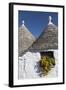 Traditional Trullos (Trulli) in Alberobello, UNESCO World Heritage Site, Puglia, Italy, Europe-Martin-Framed Photographic Print