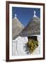 Traditional Trullos (Trulli) in Alberobello, UNESCO World Heritage Site, Puglia, Italy, Europe-Martin-Framed Photographic Print