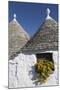 Traditional Trullos (Trulli) in Alberobello, UNESCO World Heritage Site, Puglia, Italy, Europe-Martin-Mounted Photographic Print