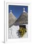 Traditional Trullos (Trulli) in Alberobello, UNESCO World Heritage Site, Puglia, Italy, Europe-Martin-Framed Photographic Print