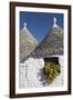 Traditional Trullos (Trulli) in Alberobello, UNESCO World Heritage Site, Puglia, Italy, Europe-Martin-Framed Photographic Print