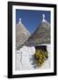 Traditional Trullos (Trulli) in Alberobello, UNESCO World Heritage Site, Puglia, Italy, Europe-Martin-Framed Photographic Print