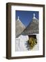 Traditional Trullos (Trulli) in Alberobello, UNESCO World Heritage Site, Puglia, Italy, Europe-Martin-Framed Photographic Print