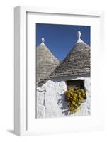 Traditional Trullos (Trulli) in Alberobello, UNESCO World Heritage Site, Puglia, Italy, Europe-Martin-Framed Photographic Print