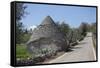 Traditional Trullos (Trulli) in the Countryside Near Alberobello, Puglia, Italy, Europe-Martin-Framed Stretched Canvas