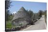 Traditional Trullos (Trulli) in the Countryside Near Alberobello, Puglia, Italy, Europe-Martin-Stretched Canvas