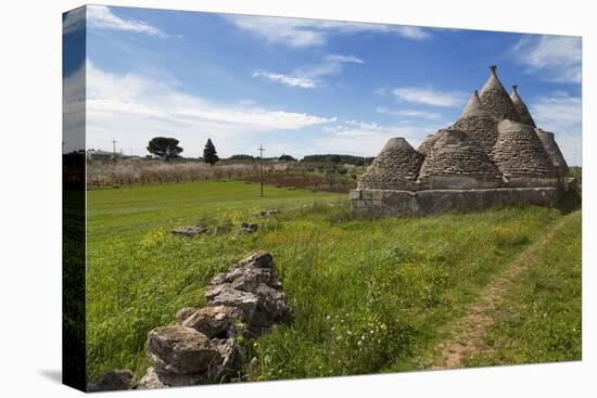 Traditional Trullos (Trulli) in the Countryside Near Alberobello, Puglia, Italy, Europe-Martin-Stretched Canvas