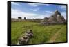 Traditional Trullos (Trulli) in the Countryside Near Alberobello, Puglia, Italy, Europe-Martin-Framed Stretched Canvas