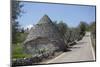 Traditional Trullos (Trulli) in the Countryside Near Alberobello, Puglia, Italy, Europe-Martin-Mounted Photographic Print